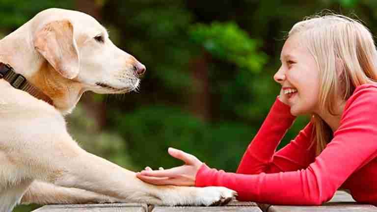 ¿Hablar con los animales podría ser posible? Científicos afirman que sí