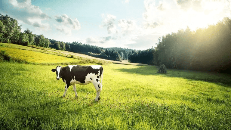 ¿Cuánta leche consume un colombiano al año?