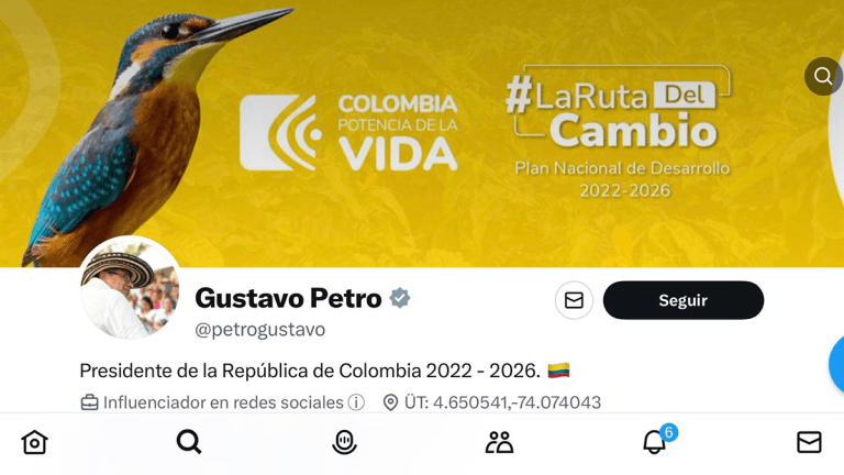 ¡Qué oso! Incluyeron biodiversidad extranjera en imagen institucional del Gobierno