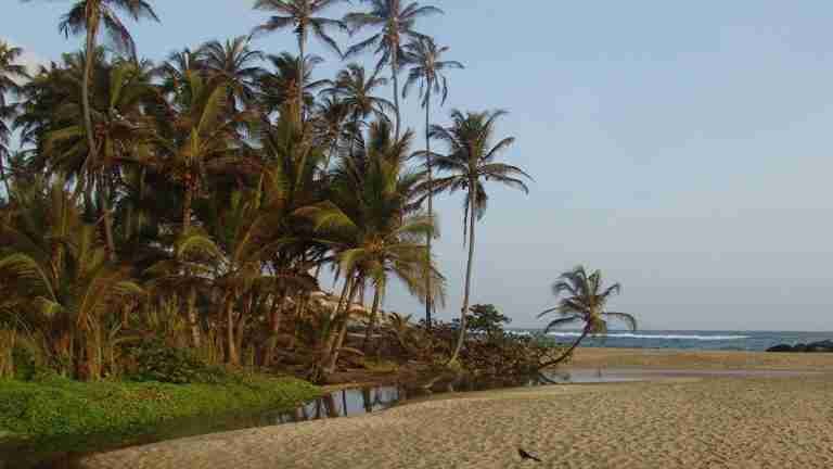Primera encuesta de percepción de Parques Nacionales Naturales: el Parque Tayrona es el más visitado