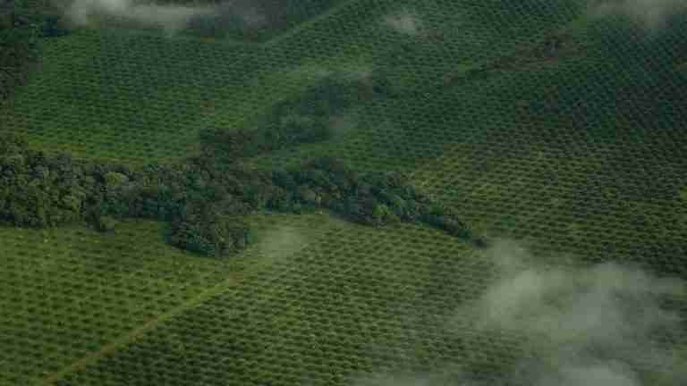 Ministerio de Ambiente busca recuperar más de 750 mil hectáreas degradadas