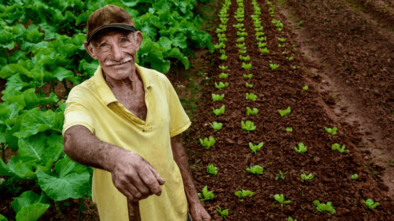 Día del Campesino en Colombia: un merecido homenaje a la ardua labor con la tierra 