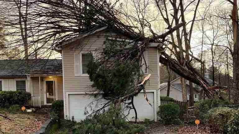 Agente inmobiliario muere trágicamente tras ser golpeado por un árbol durante tormenta en Atlanta
