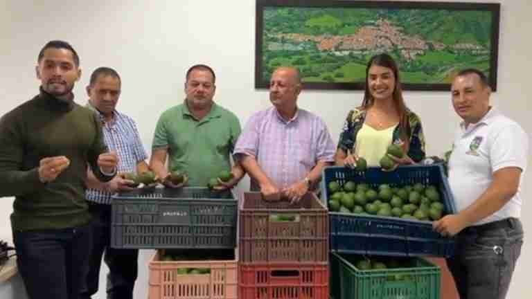 En Barbosa se realiza un ‘Aguacatón’ para ayudar a los damnificados por el invierno