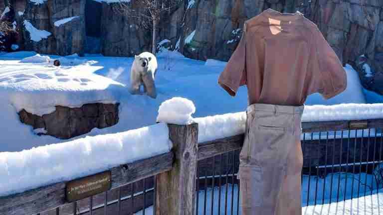 Zoológico de Chicago se suma al fenómeno viral: el desafío de los pantalones congelados