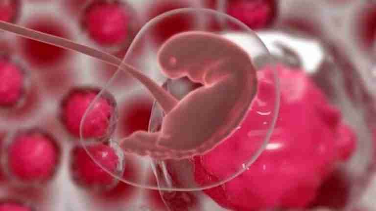Por primera vez en la historia, científicos crean embriones humanos sintéticos sin óvulos ni esperma 