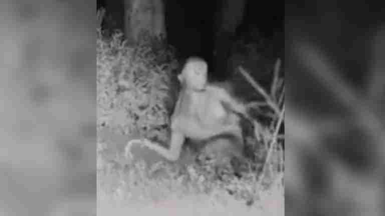 Supuesto alienígena captado en video genera especulaciones sobre vida extraterrestre