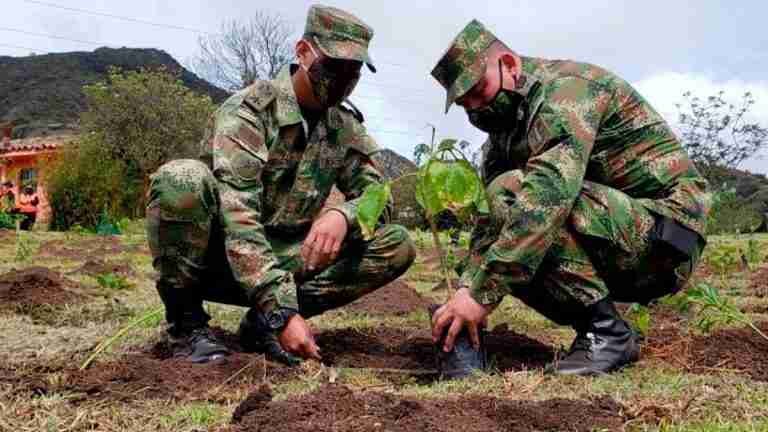 Unidos por la naturaleza: Colombia se prepara para masiva sembratón en el Día Mundial del Árbol