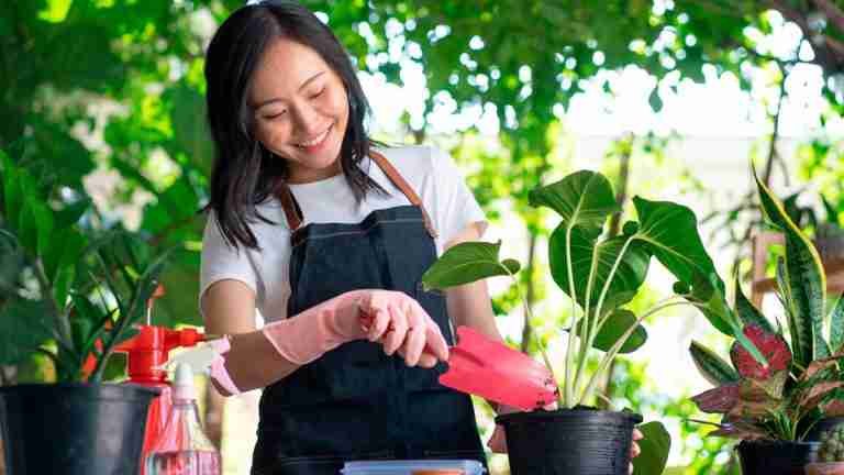 Descubre por qué la jardinería es mucho más que un pasatiempo: ¡es ejercicio!