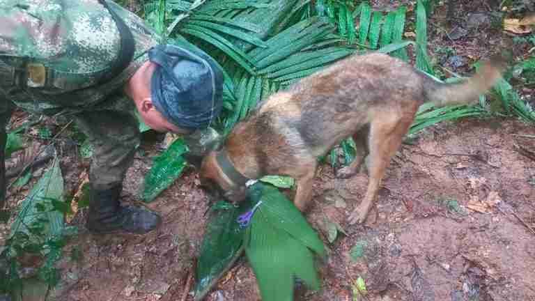 “Creemos que es improbable encontrarlo”: el Ejército suspenderá la búsqueda de Wilson