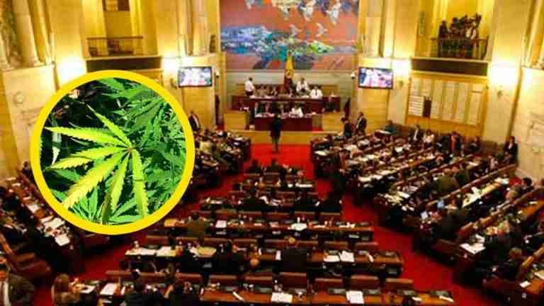 Cannabis recreativo, entraría en vigencia 6 meses después de la promulgación de la ley
