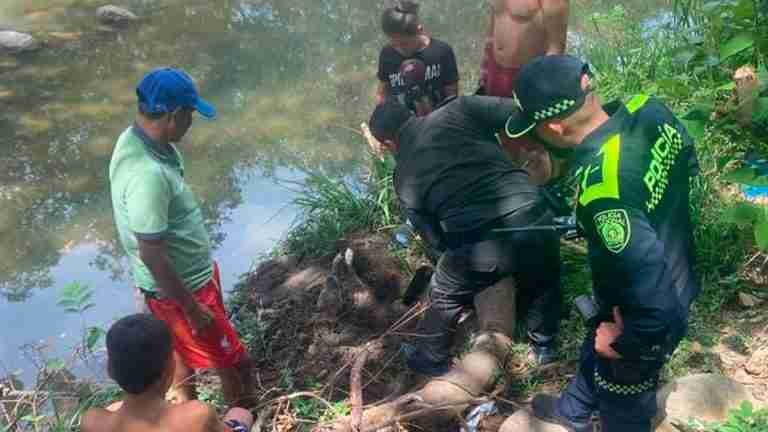 ¿Hasta cuándo? La Policía Metropolitana de Neiva rescató a un perrito que estaba enterrado vivo