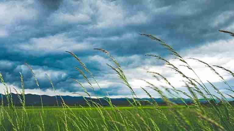 Día Global del Viento: ¿Por qué se celebra?