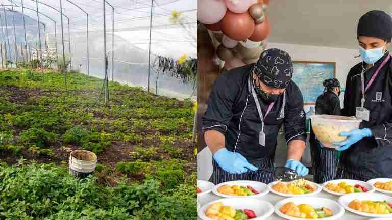 Medellín promueve la seguridad alimentaria: 800 familias ingresan al proyecto Huertas Caseras