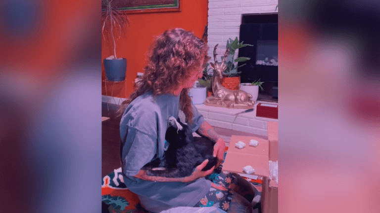 Mujer congela a su gata fallecida