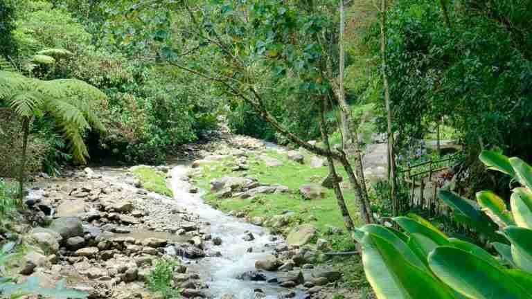 Amarraron y atracaron 7 personas en el parque El Salado de Envigado