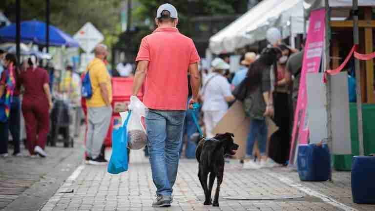 ¿Asistirá a los eventos de la Feria de las Flores con su mascota? Siga las siguientes recomendaciones