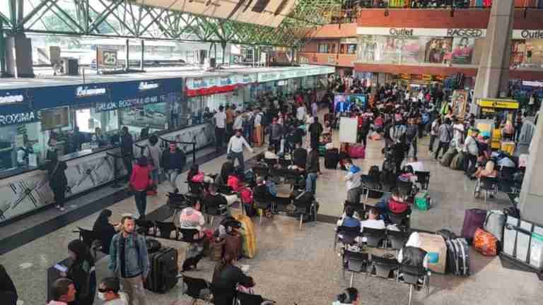 Sin Viva y Ultra el trasporte terrestre aumentó su operación un 16%