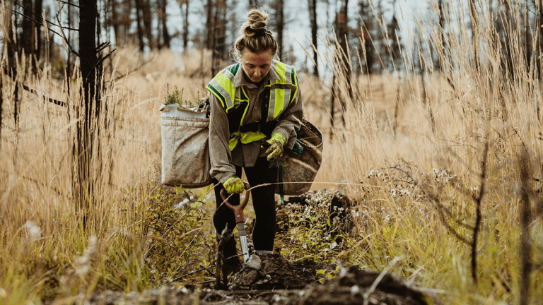 Peleado proyecto de ley de restauración de la naturaleza en el Parlamento Europeo