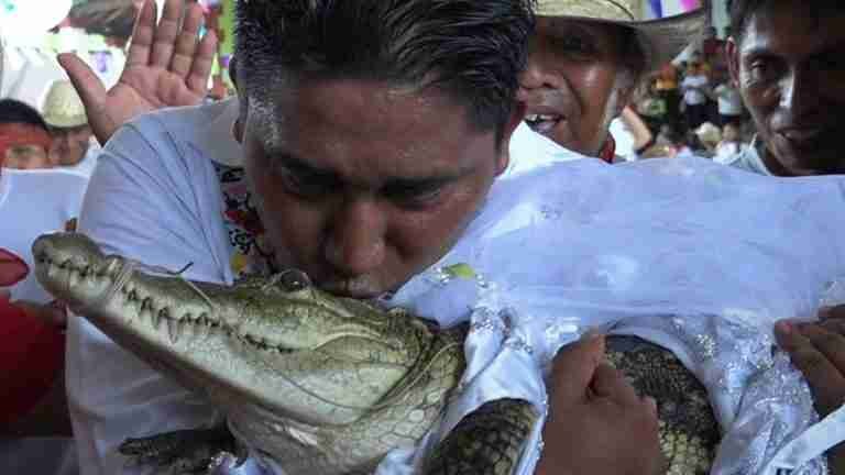 Alcalde de un pueblo mexicano se casa con un caimán en tradición ancestral