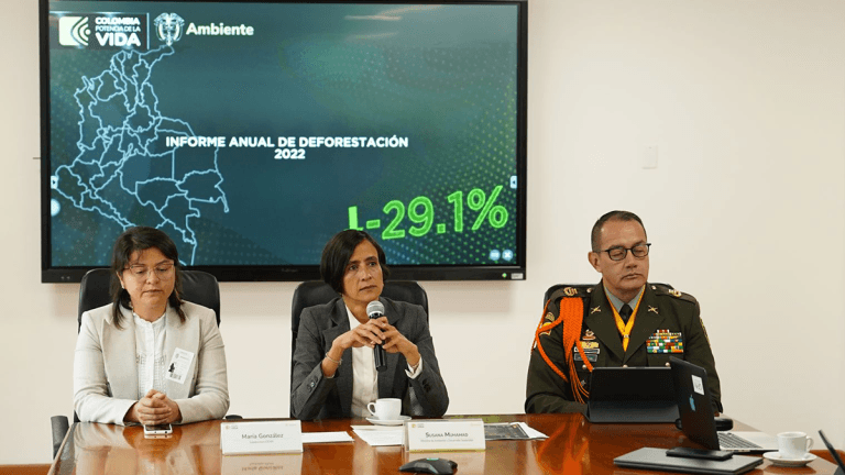 Deforestación en Colombia bajó un 29 % en 2022