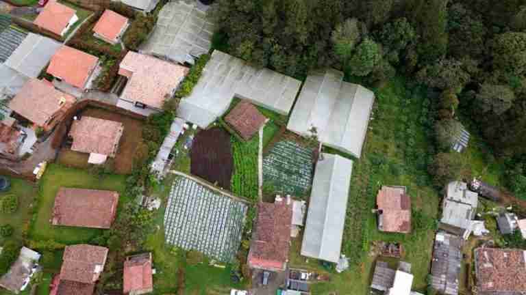Medellín impulsa la productividad agrícola: 101 agricultores beneficiados con invernaderos y mejoras en su infraestructura