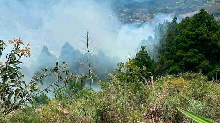 17 hectáreas de vegetación afectadas por incendio que duró 12 horas en cerro el Picacho de Medellín