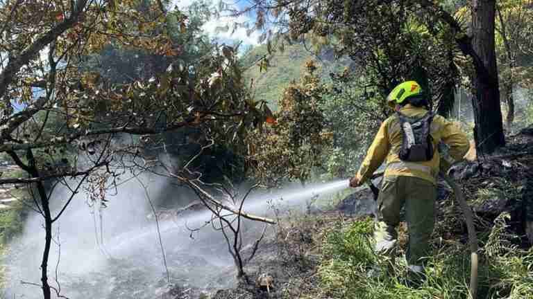 Medellín en alerta: recomendaciones cruciales ante oleada de incendios por altas temperaturas