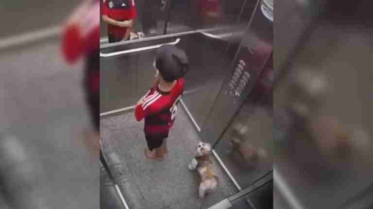 ¡Increíble! Niño salva a su perrita de morir ahorcada en ascensor