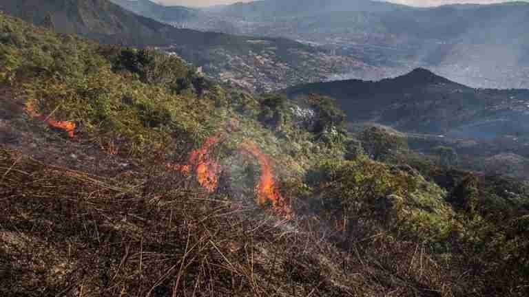 Del 5 al 11 de agosto fueron atendidas 123 emergencias en la ciudad