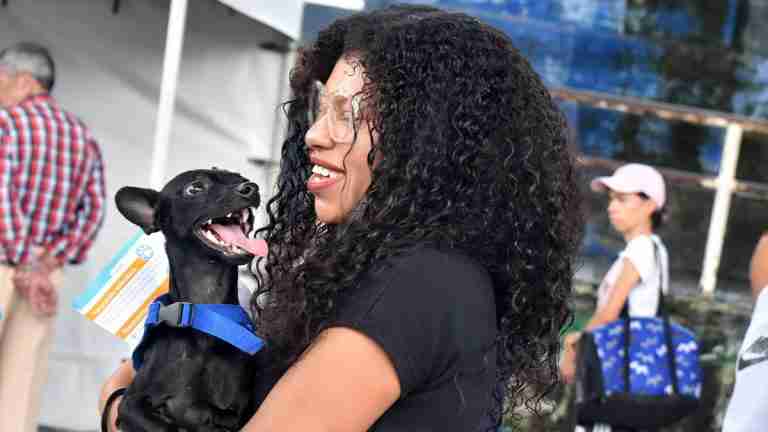 Más de 5.000 animales de compañía fueron beneficiados en el último mes con las jornadas de esterilizaciones en Medellín