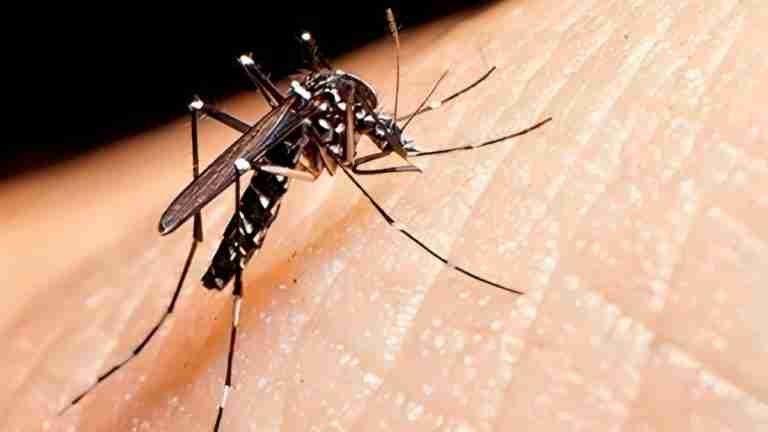 44 personas han muerto por dengue en Colombia, siendo la población menor de 15 años la más afectada