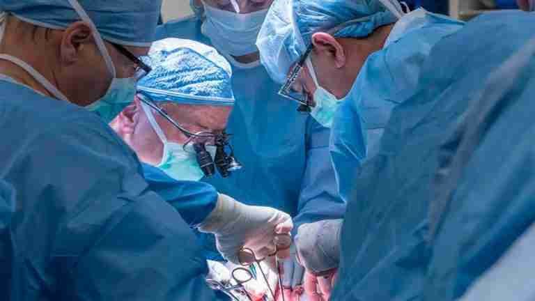 Mujer donó útero a su hermana para que ella procreara una familia 