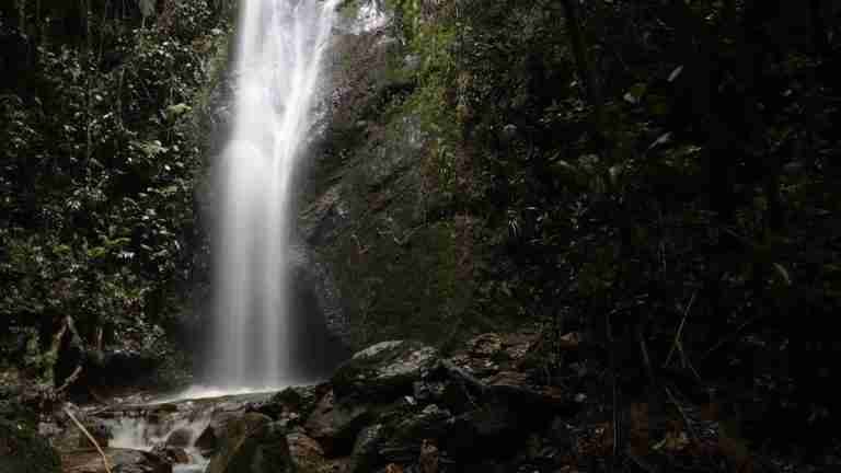 Medellín amplía su red de reservas naturales: ya son 16