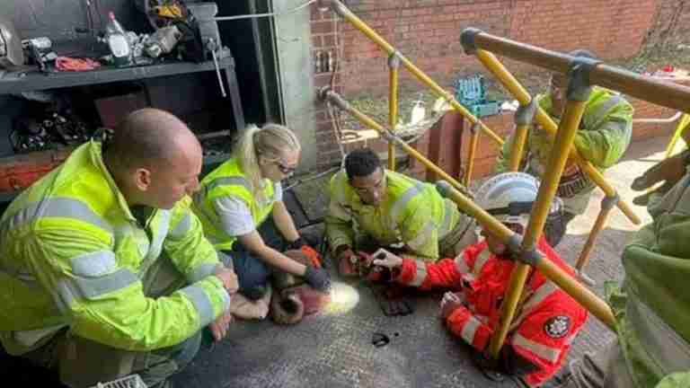 Exitoso rescate: zorro es liberado de agujero metálico en Reino Unido