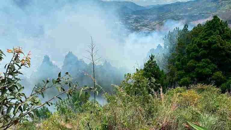Cuatro incendios de cobertura vegetal mantienen en alerta a Medellín: Despliegue de equipos de emergencia