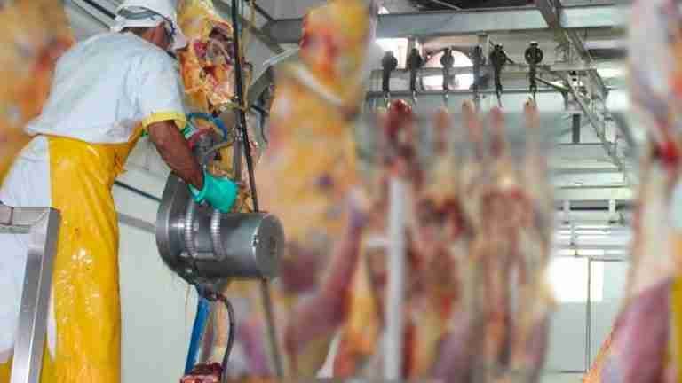 “La reapertura de los mataderos municipales bajará el precio de la carne”: Gustavo Petro