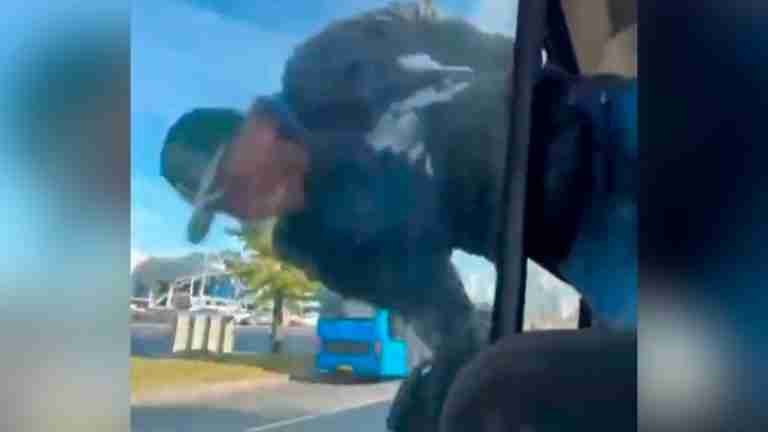 Hombre quedó atrapado en la ventana de un bus que intentó robar