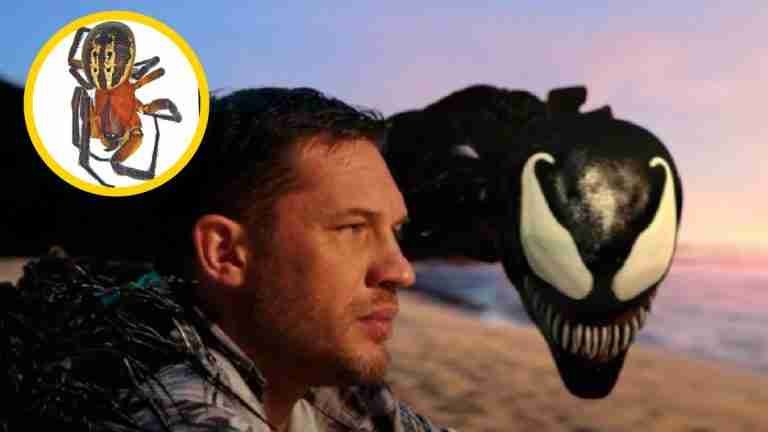 Nueva especie de araña fue nombrada como el ‘Venom’ de Tom Hardy