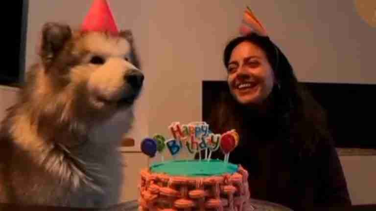 ¡Hermoso! Perrito le canta el cumpleaños a su dueña