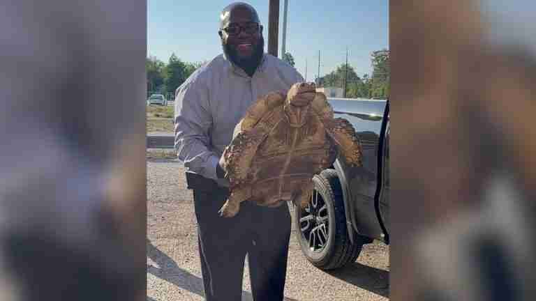 Biscuit, una tortuga de 100 años que escapó de su casa