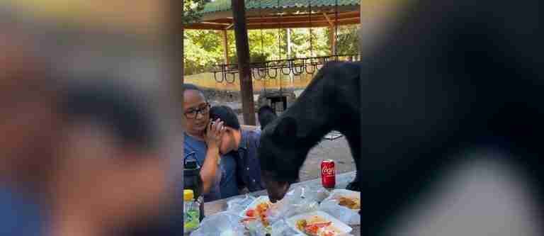 Oso causa pánico al interrumpir picnic familiar 
