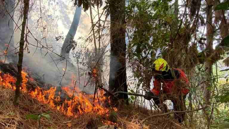 Incendios forestales en el Cerro de las Tres Cruces y San Cristóbal