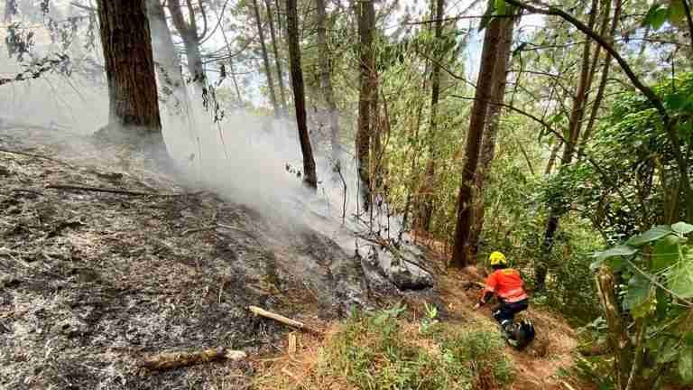 Bomberos Medellín controló cuatro incendios de cobertura vegetal en la ciudad