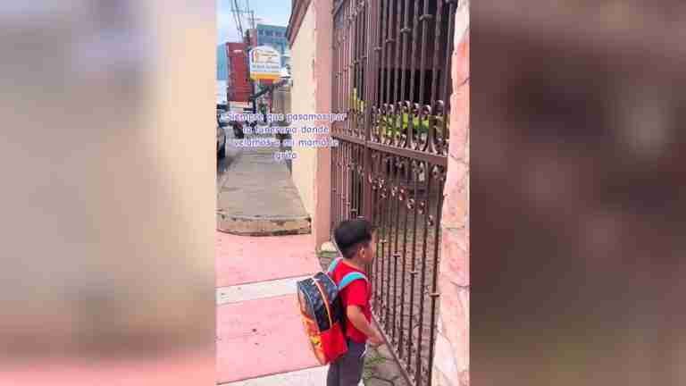 ¡Qué inocencia! Conmovedor momento en el que un niño busca a su abuela fallecida en la funeraria