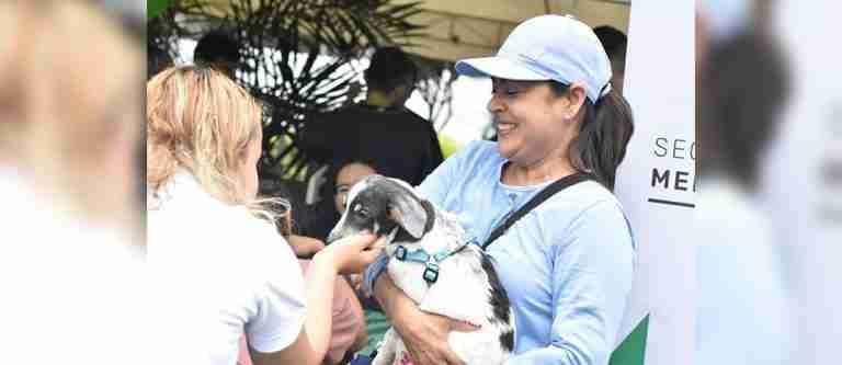 64 animales de compañía y especies mayores encontraron un nuevo hogar durante jornada de adopciones en Medellín