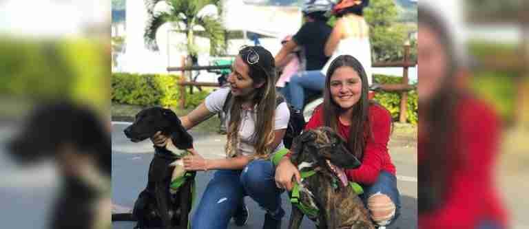 “Semana de la Ecociudad, Medellín Cuida la Vida”: programación y registro a eventos académicos