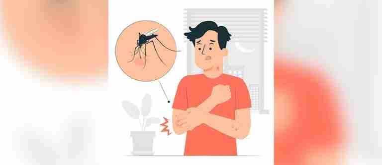 Minsalud invita a tomar medidas de control del dengue en la semana de receso escolar
