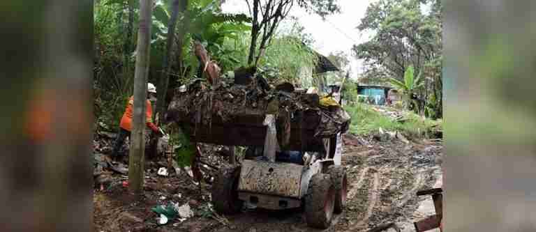 500 árboles fueron sembrados en el sector de Madre Laura en Medellín
