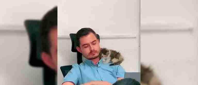 ¡Qué ternura! Profesor cuida a un gatico mientras la dueña realiza un examen 